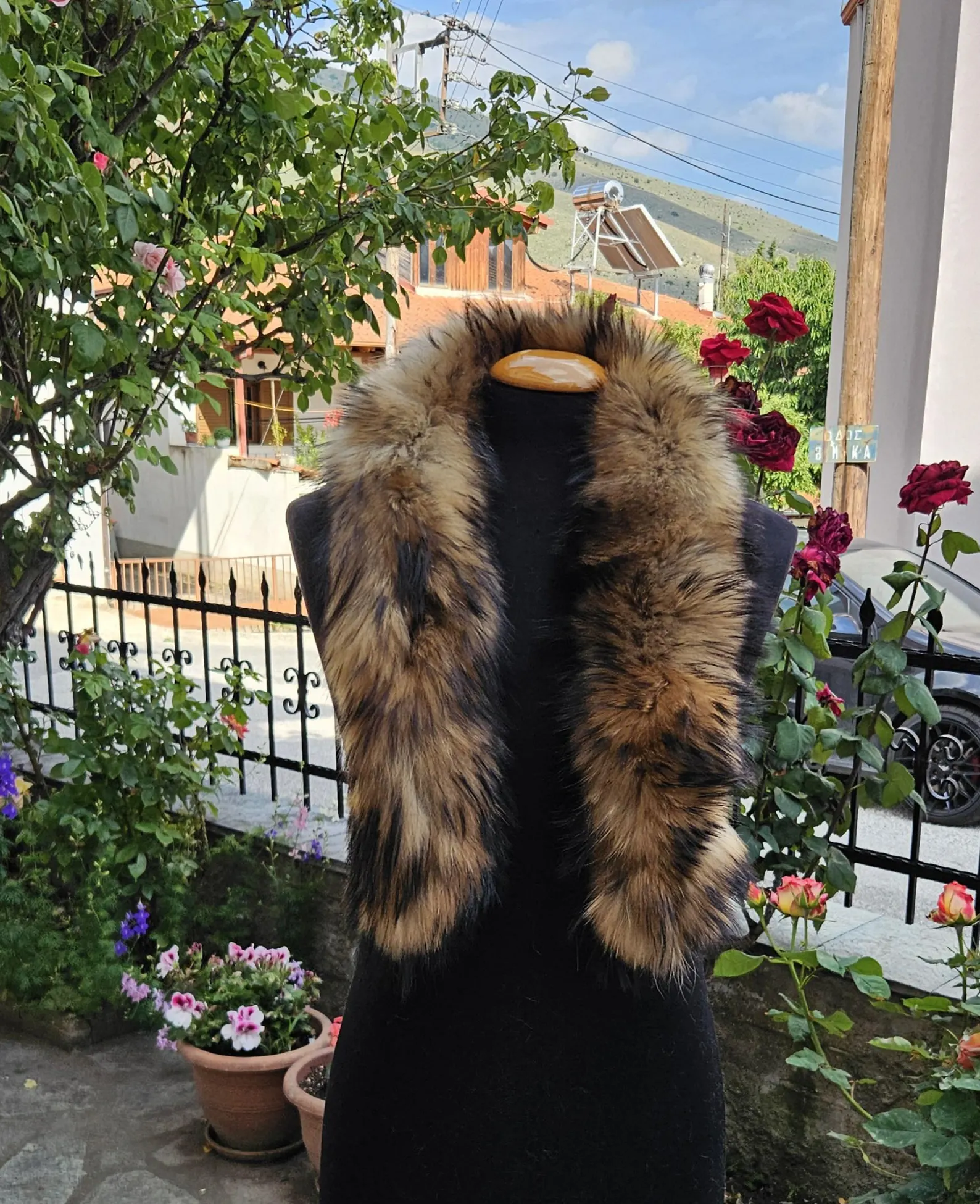 Real Fin Raccoon Fur Trim Hood