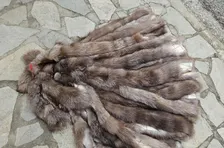 Real Fox Fur Strip in crystal color, the ideal winter accessory - Image 3