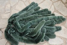 Real Fox Fur Strip, the ideal winter accessory