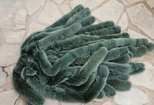Real Fox Fur Strip, the ideal winter accessory - Image 3