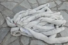 Real Fox Fur Strip, the ideal winter accessory - Image 4