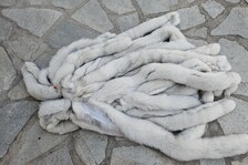 Real Fox Fur Strip, the ideal winter accessory - Image 5
